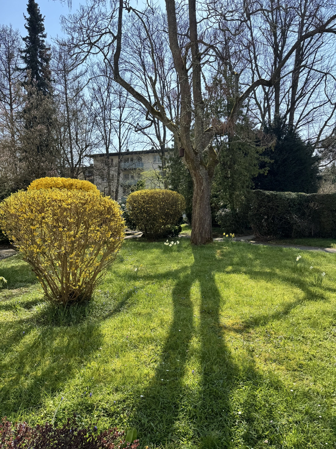 Immobilien Berger GmbH - Straßenansicht